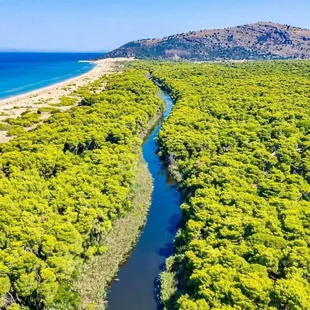 Amalia Калогрия